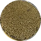 Iranian Osetra caviar, 125 g tin