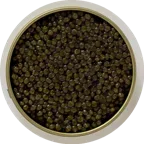 Iranian Osetra caviar, 50 g tin