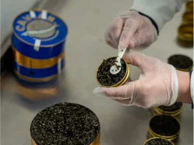 Black sturgeon caviar