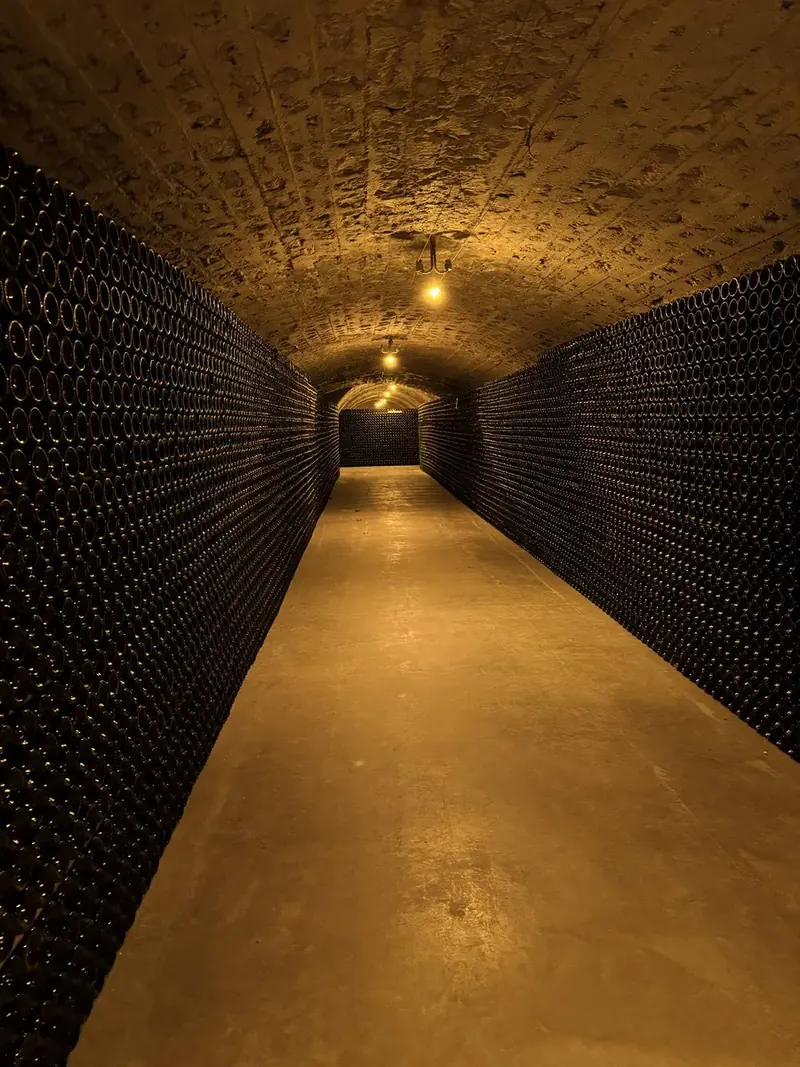 Champagne cellar