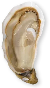 L’Authentique